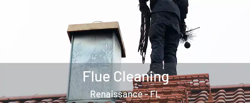 Flue Cleaning Renaissance - FL