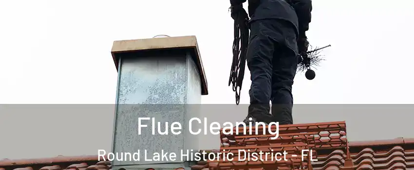 Flue Cleaning Round Lake Historic District - FL