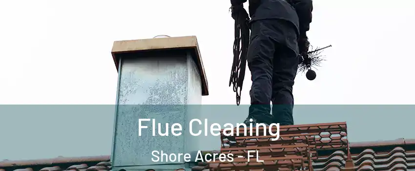 Flue Cleaning Shore Acres - FL