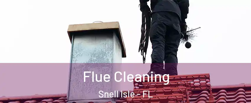 Flue Cleaning Snell Isle - FL
