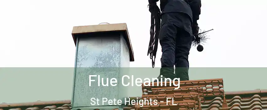 Flue Cleaning St Pete Heights - FL