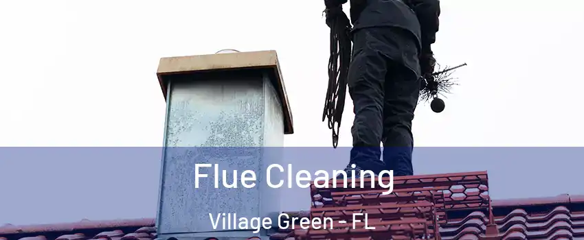 Flue Cleaning Village Green - FL