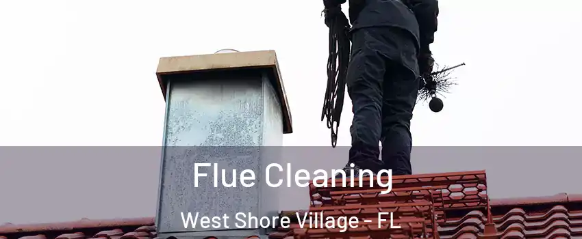 Flue Cleaning West Shore Village - FL