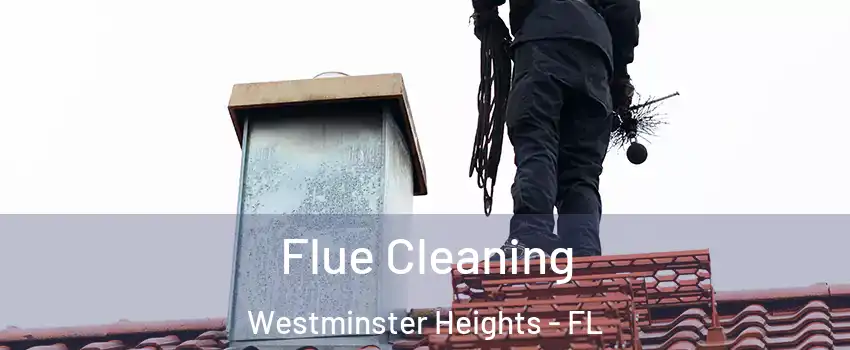 Flue Cleaning Westminster Heights - FL