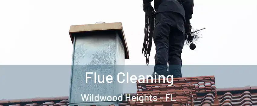 Flue Cleaning Wildwood Heights - FL