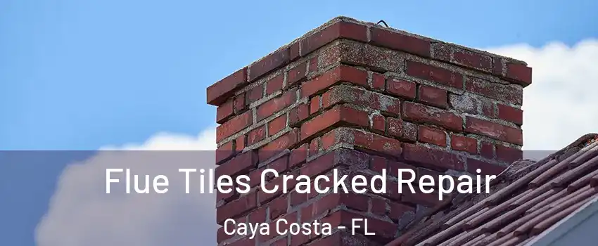 Flue Tiles Cracked Repair Caya Costa - FL