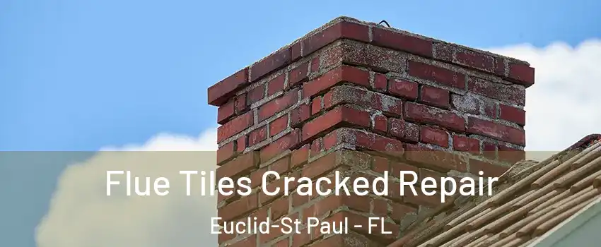 Flue Tiles Cracked Repair Euclid-St Paul - FL
