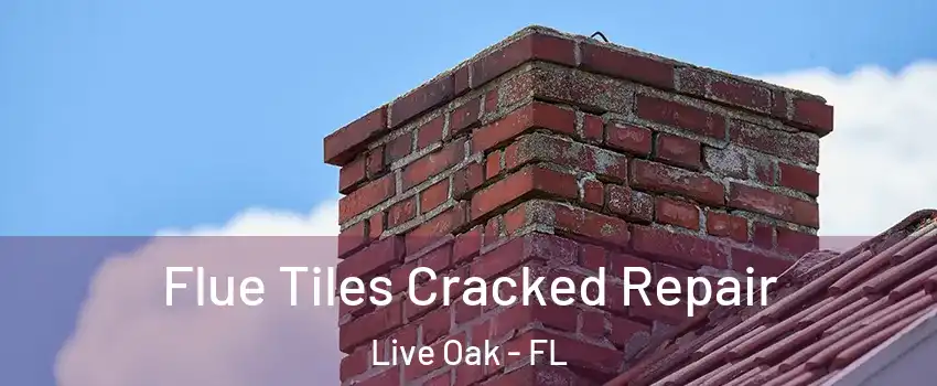 Flue Tiles Cracked Repair Live Oak - FL