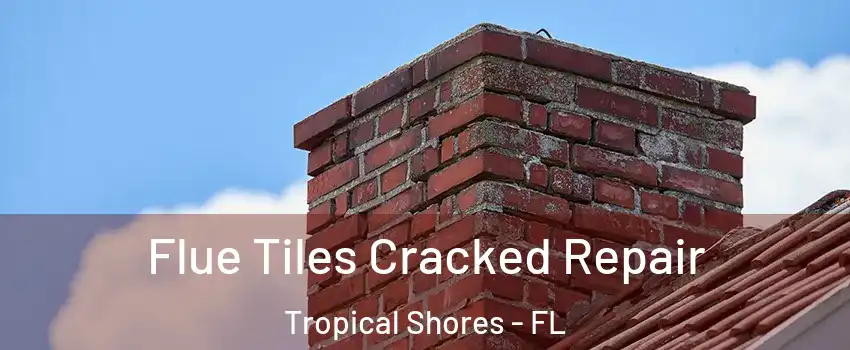 Flue Tiles Cracked Repair Tropical Shores - FL