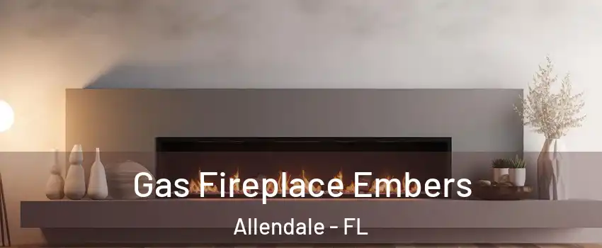 Gas Fireplace Embers Allendale - FL