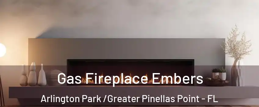 Gas Fireplace Embers Arlington Park /Greater Pinellas Point - FL