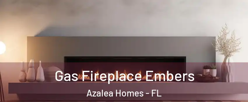 Gas Fireplace Embers Azalea Homes - FL