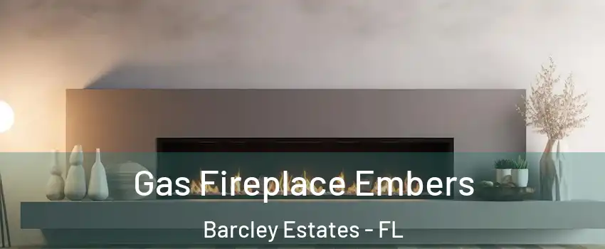 Gas Fireplace Embers Barcley Estates - FL