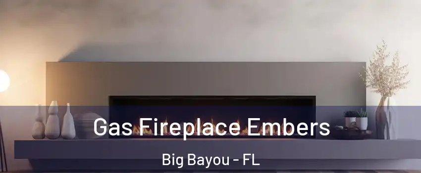 Gas Fireplace Embers Big Bayou - FL