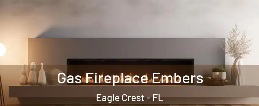 Gas Fireplace Embers Eagle Crest - FL