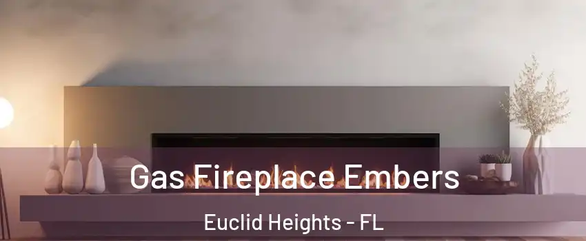 Gas Fireplace Embers Euclid Heights - FL