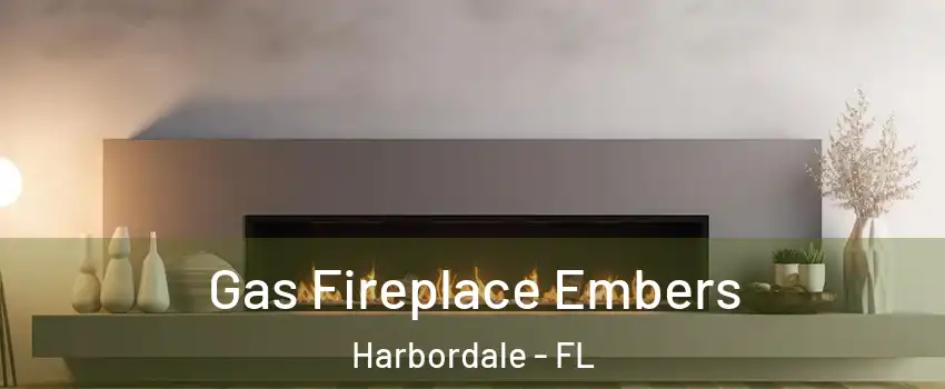 Gas Fireplace Embers Harbordale - FL