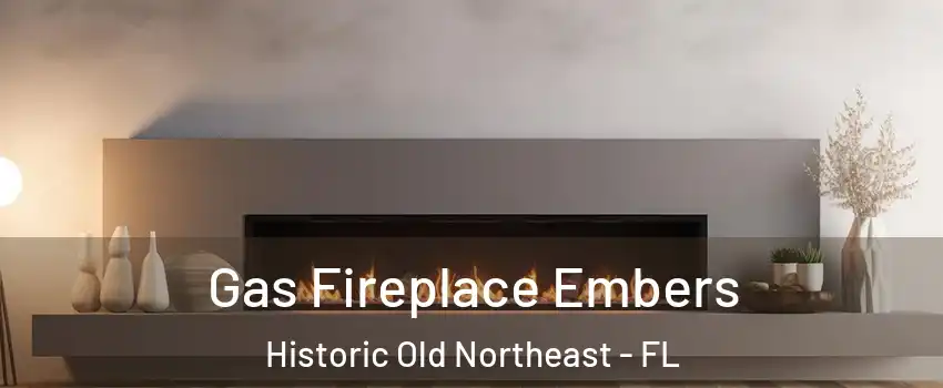 Gas Fireplace Embers Historic Old Northeast - FL