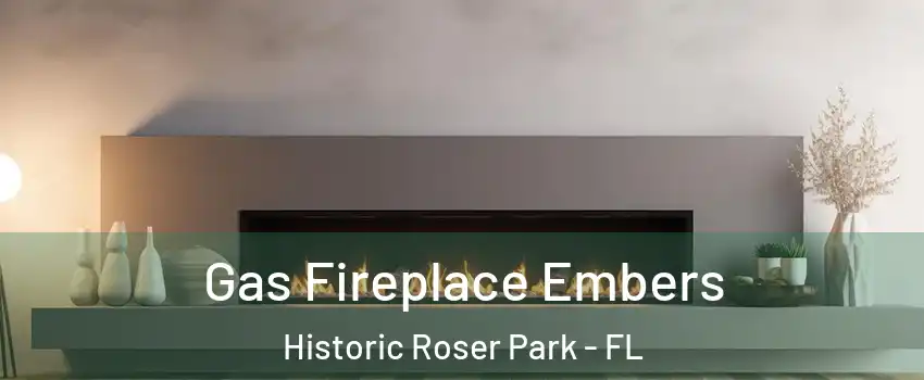 Gas Fireplace Embers Historic Roser Park - FL