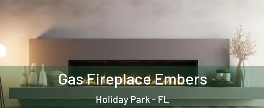 Gas Fireplace Embers Holiday Park - FL
