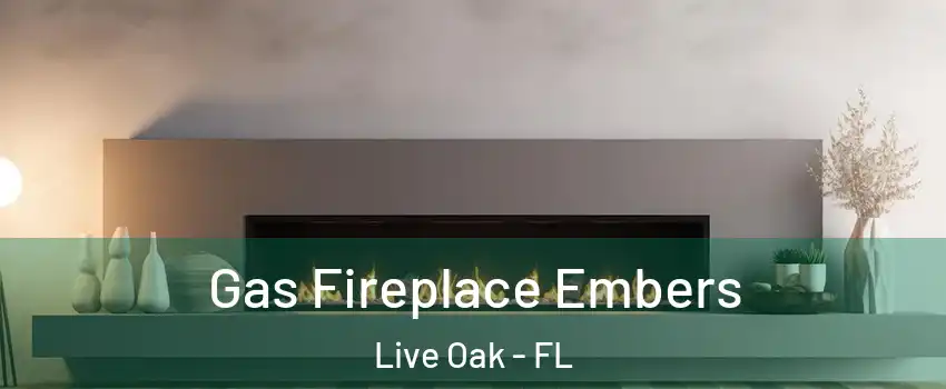 Gas Fireplace Embers Live Oak - FL