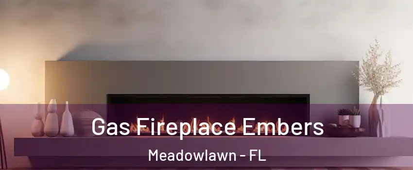 Gas Fireplace Embers Meadowlawn - FL