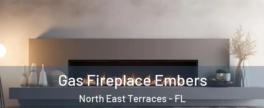 Gas Fireplace Embers North East Terraces - FL