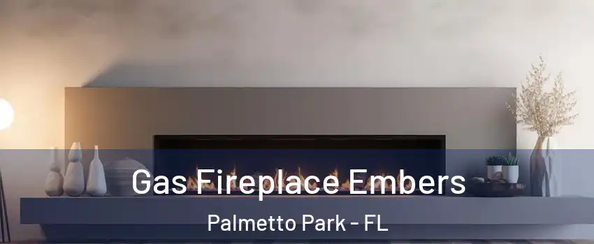 Gas Fireplace Embers Palmetto Park - FL