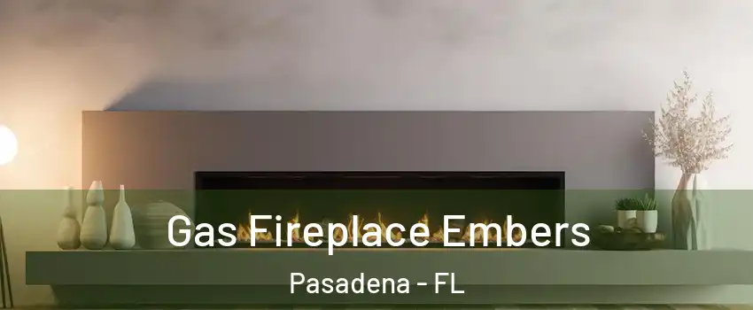 Gas Fireplace Embers Pasadena - FL
