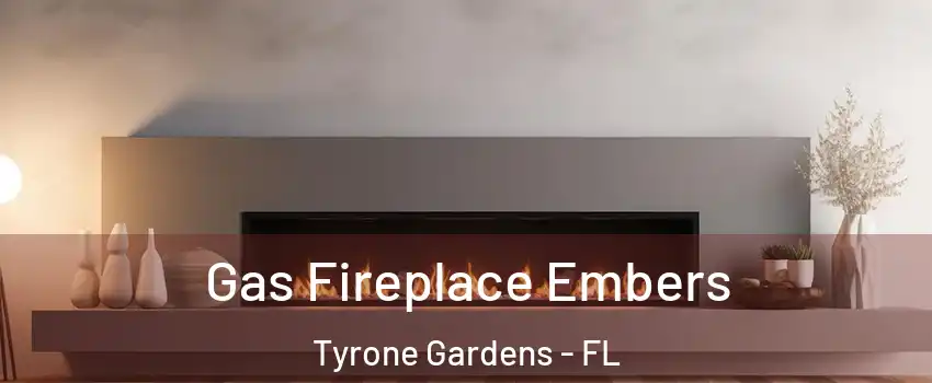 Gas Fireplace Embers Tyrone Gardens - FL