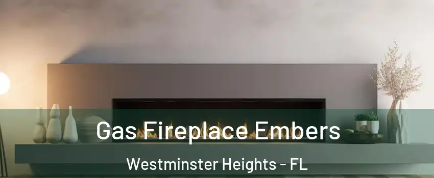 Gas Fireplace Embers Westminster Heights - FL