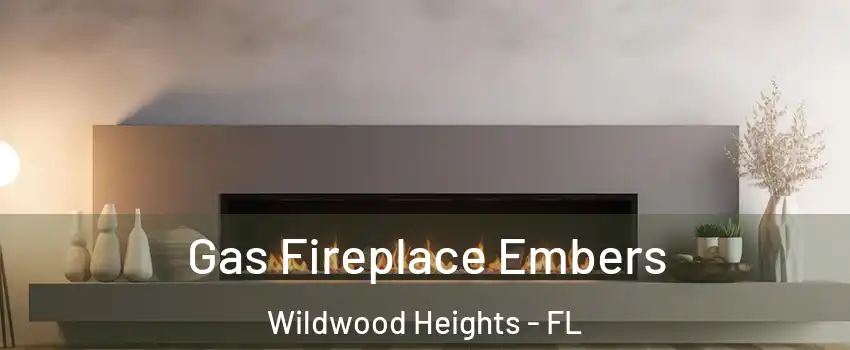 Gas Fireplace Embers Wildwood Heights - FL
