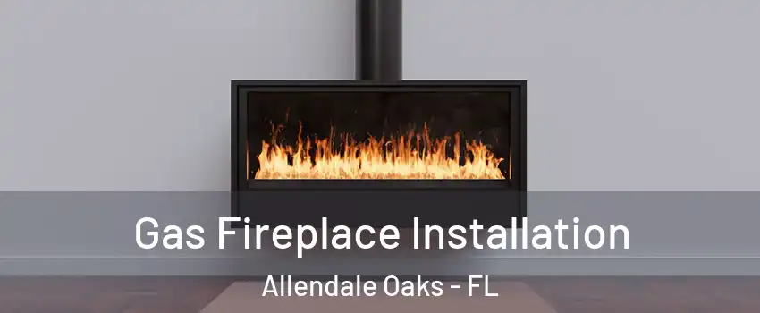 Gas Fireplace Installation Allendale Oaks - FL