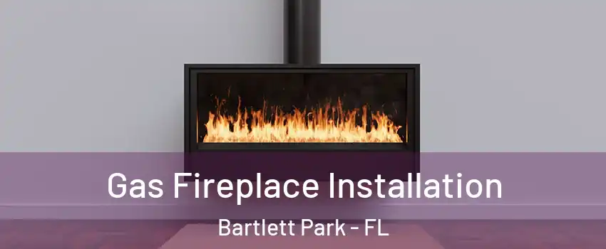 Gas Fireplace Installation Bartlett Park - FL