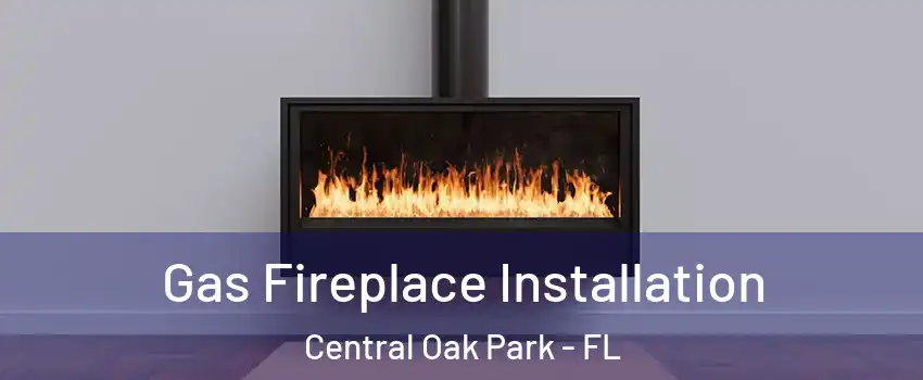 Gas Fireplace Installation Central Oak Park - FL