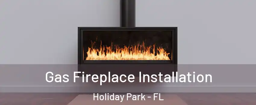 Gas Fireplace Installation Holiday Park - FL