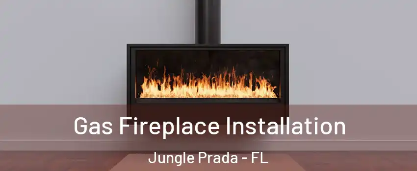 Gas Fireplace Installation Jungle Prada - FL