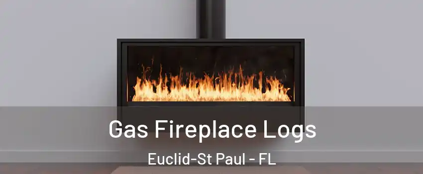 Gas Fireplace Logs Euclid-St Paul - FL