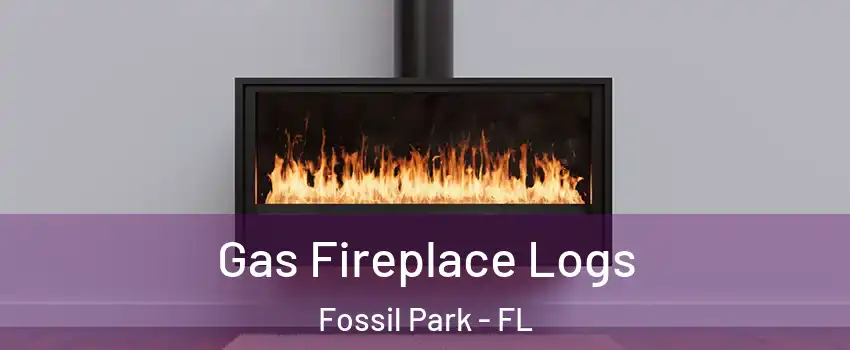 Gas Fireplace Logs Fossil Park - FL