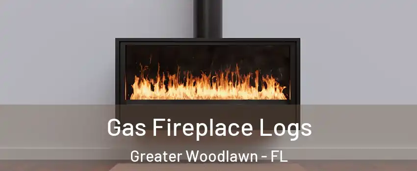Gas Fireplace Logs Greater Woodlawn - FL