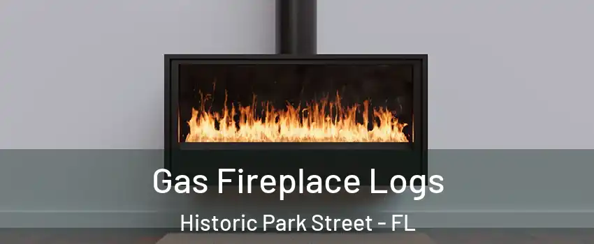 Gas Fireplace Logs Historic Park Street - FL