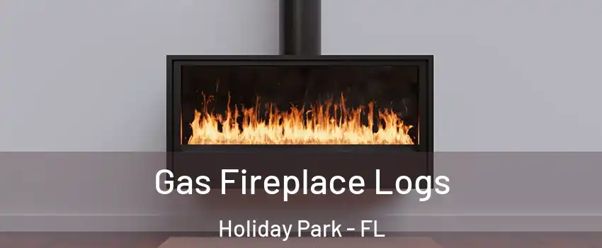 Gas Fireplace Logs Holiday Park - FL