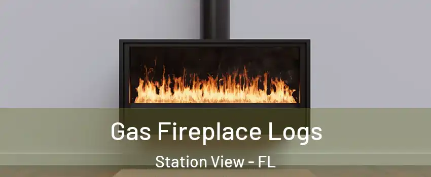 Gas Fireplace Logs Station View - FL
