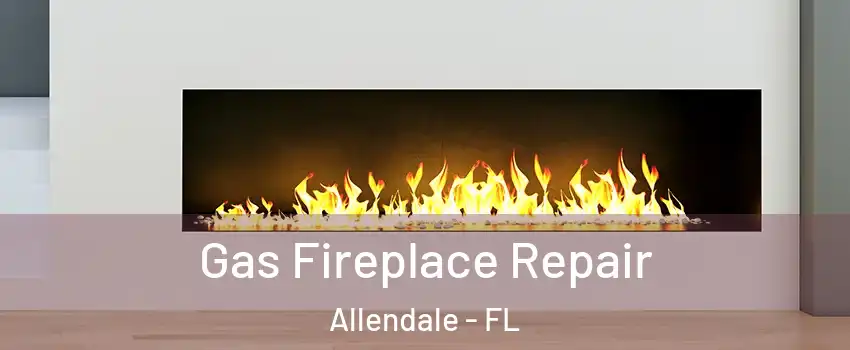 Gas Fireplace Repair Allendale - FL