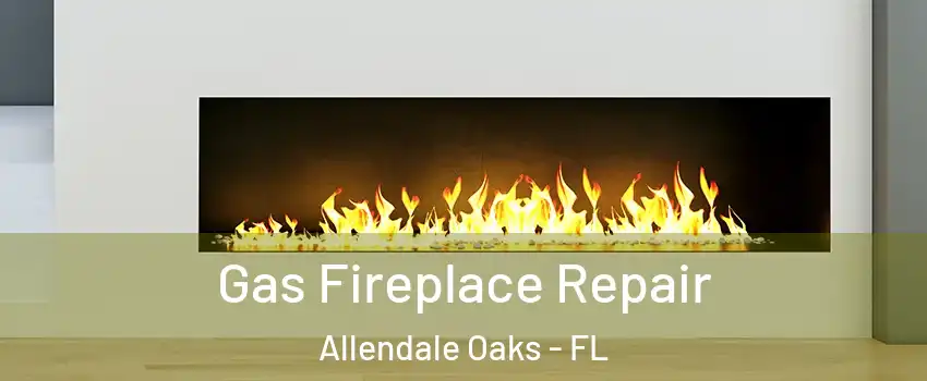 Gas Fireplace Repair Allendale Oaks - FL