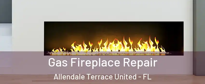 Gas Fireplace Repair Allendale Terrace United - FL
