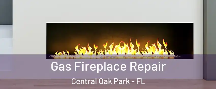 Gas Fireplace Repair Central Oak Park - FL