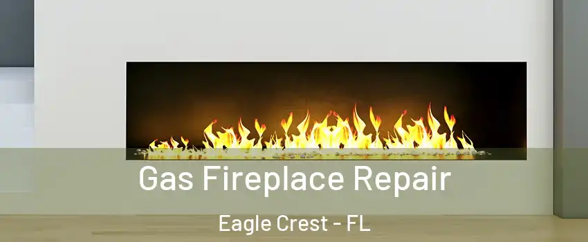 Gas Fireplace Repair Eagle Crest - FL