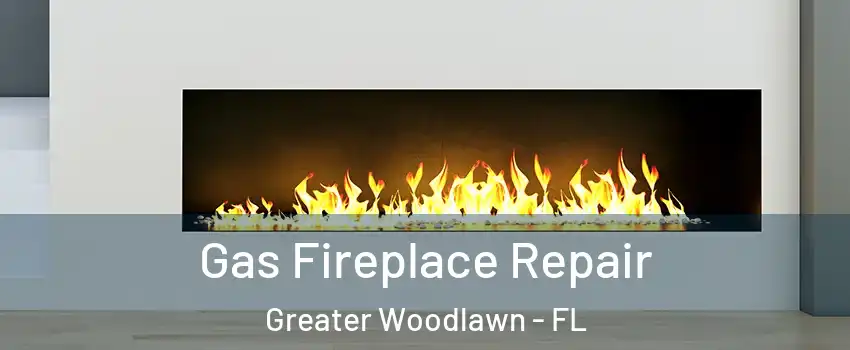 Gas Fireplace Repair Greater Woodlawn - FL