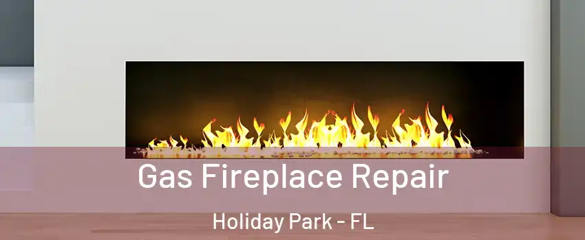 Gas Fireplace Repair Holiday Park - FL